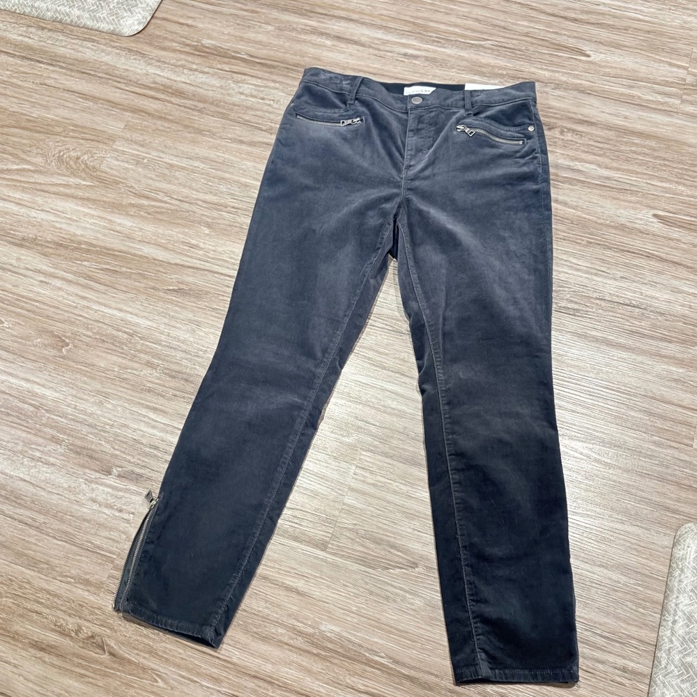 NWT Loft Charcoal Grey Velvet  Modern Skinny Jeans, Size 10